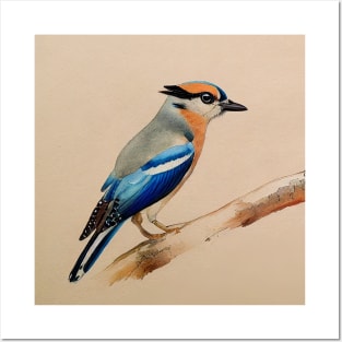 Eurasian Jay Posters and Art